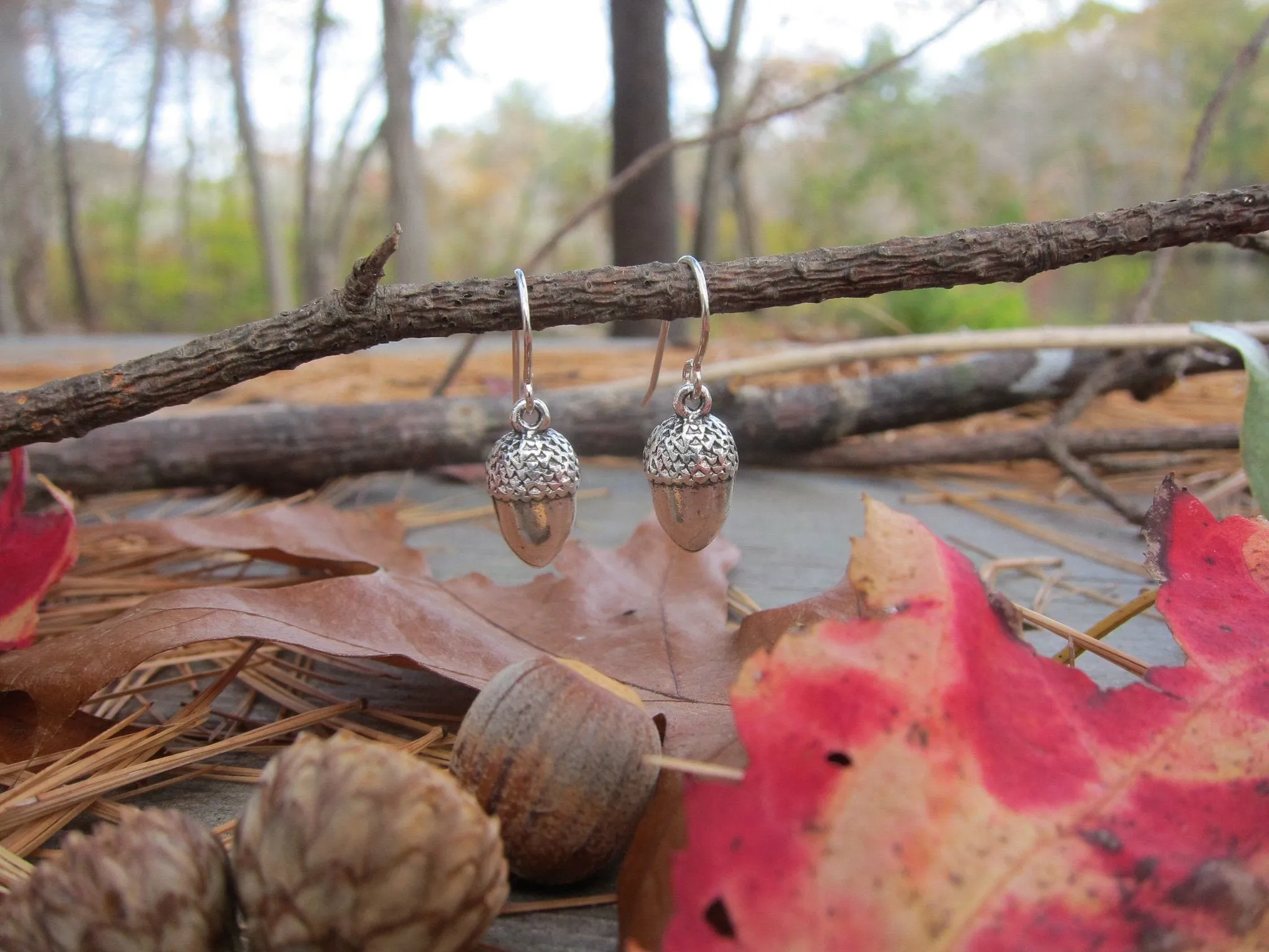 Acorn Charmed Earrings