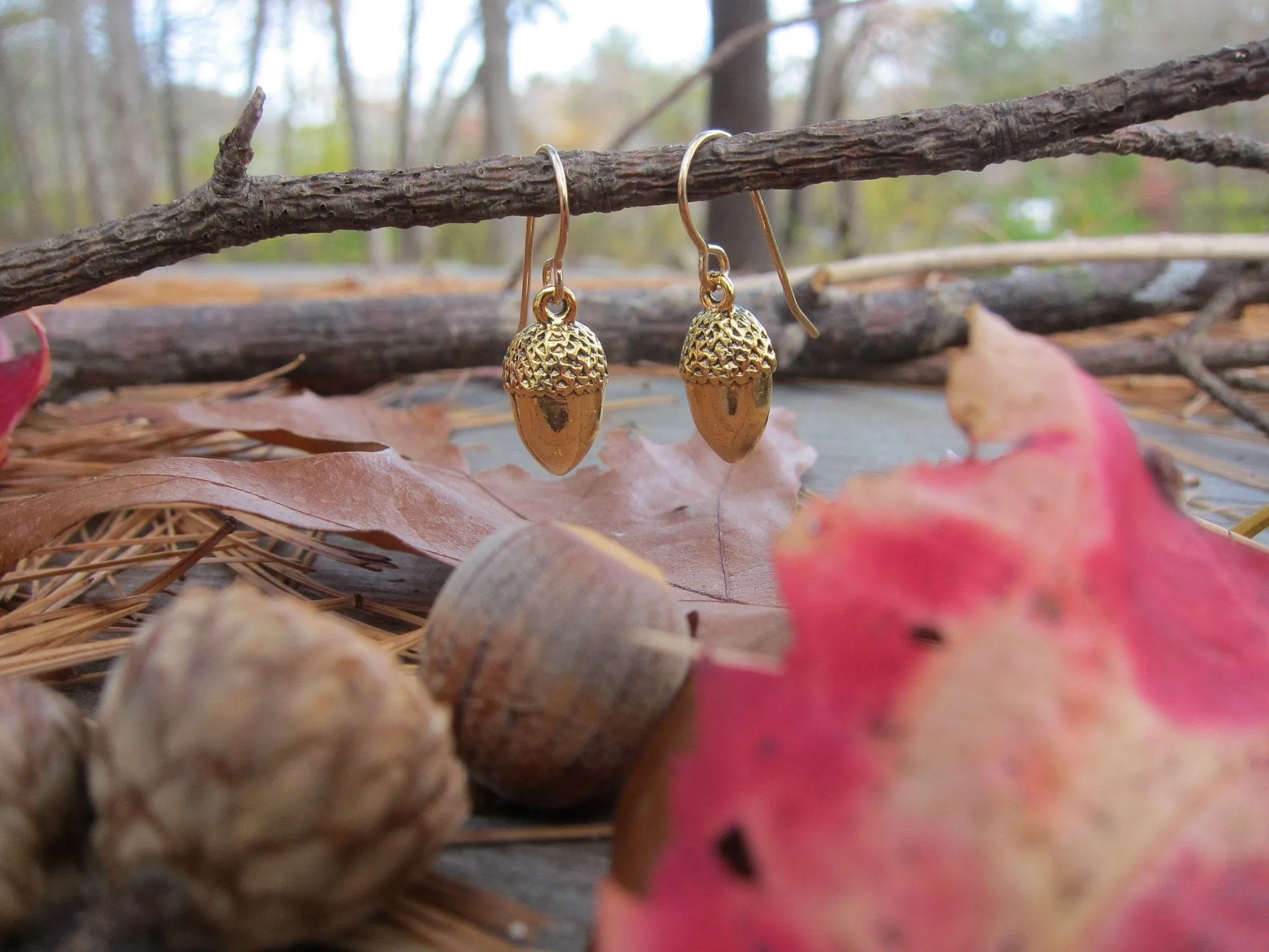 Acorn Charmed Earrings